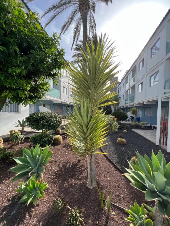 Corralejo Bristol Terrace Apartment Con Giardino Privato Esterno Exterior photo